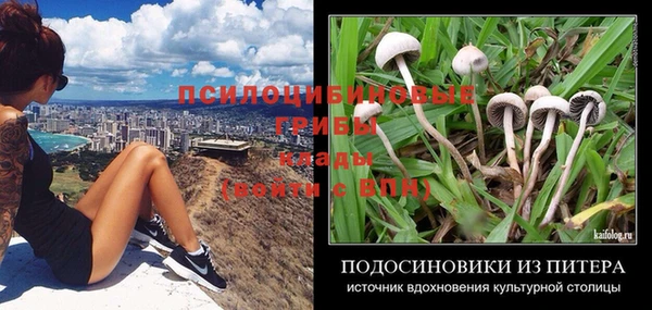 прущие крисы Богородск
