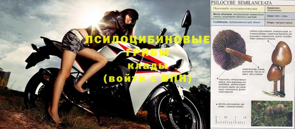 марки nbome Богданович