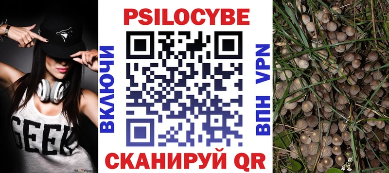 кракен tor  Саранск  Псилоцибиновые грибы Magic Shrooms 