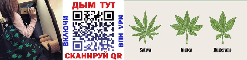 где можно купить наркотик  Саранск  Марихуана White Widow 